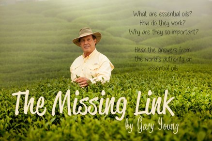 MissingLink